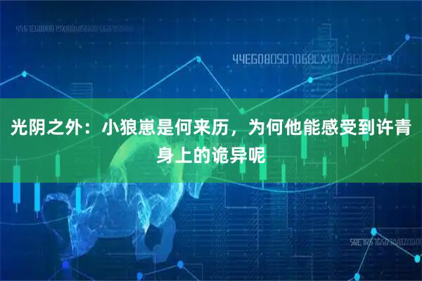 光阴之外：小狼崽是何来历，为何他能感受到许青身上的诡异呢