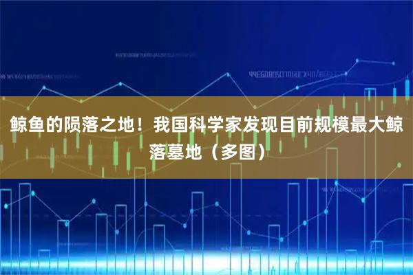鲸鱼的陨落之地！我国科学家发现目前规模最大鲸落墓地（多图）