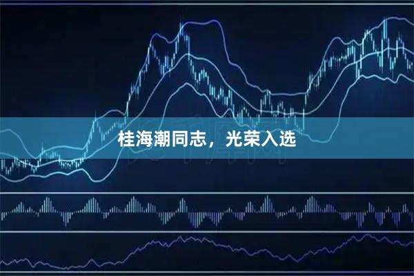 桂海潮同志，光荣入选