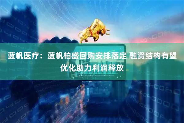 蓝帆医疗：蓝帆柏盛回购安排落定 融资结构有望优化助力利润释放
